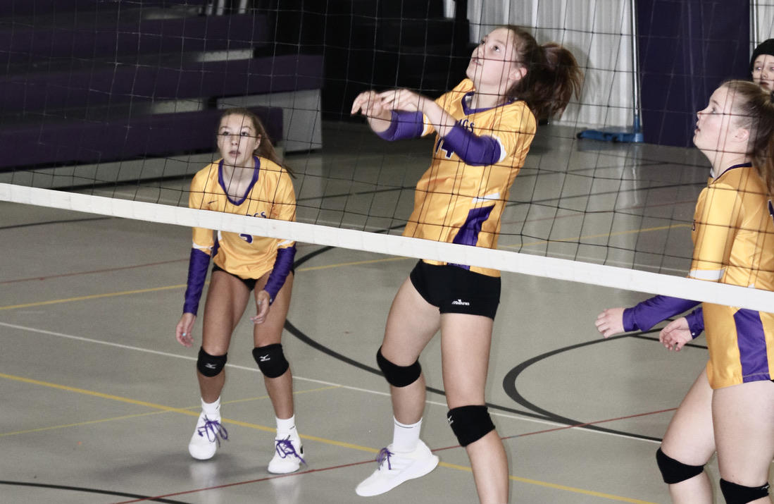 Bulldogs Ground Eagles Tm Times